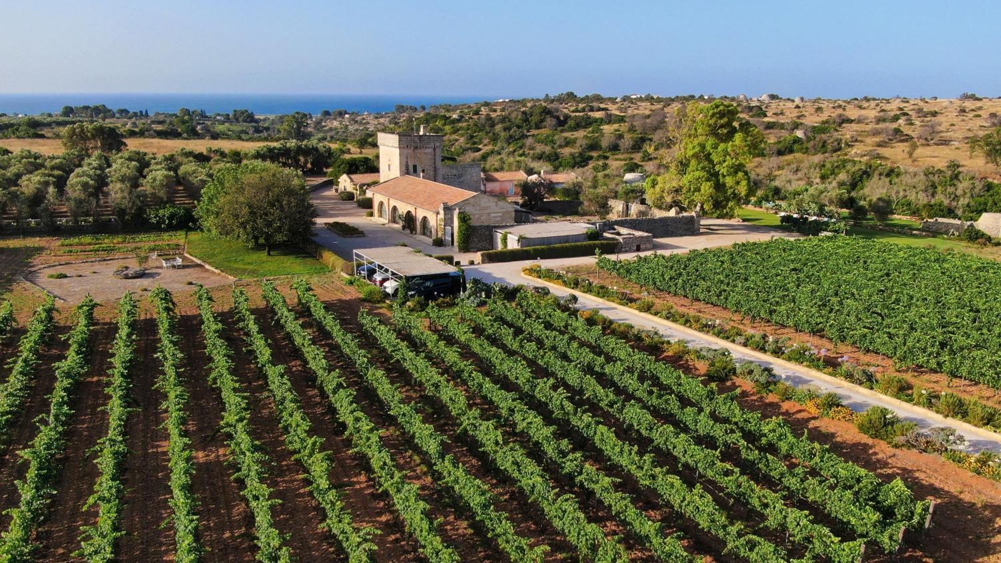 Masseria Fano Relais & Wine Salve Dış mekan fotoğraf