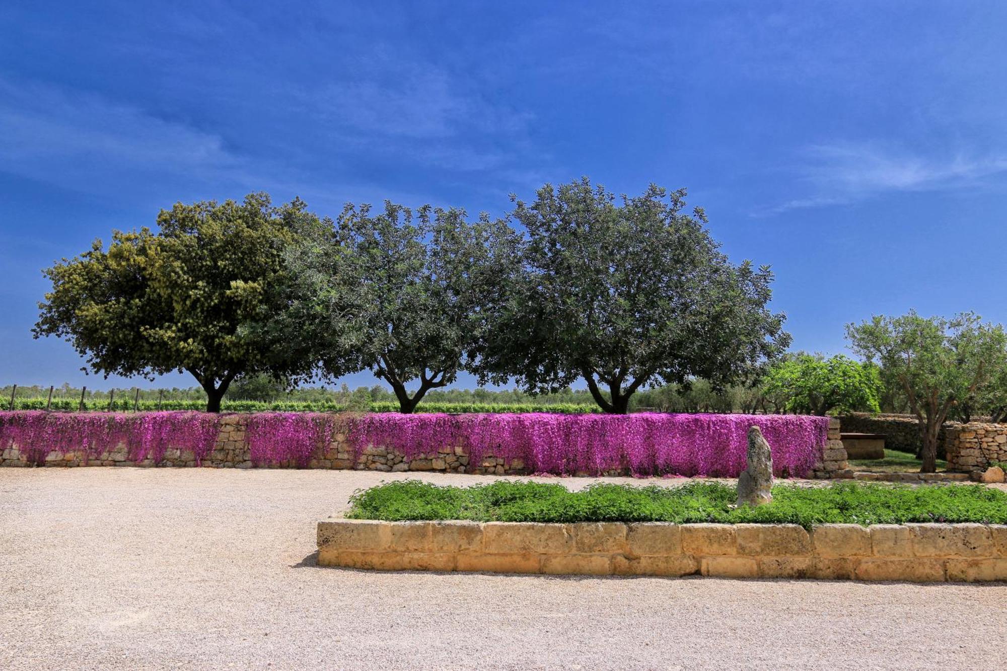 Masseria Fano Relais & Wine Salve Dış mekan fotoğraf
